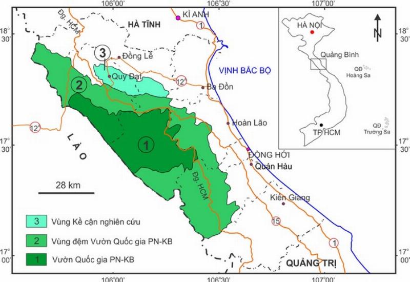 Biểu đồ minh họa quá trình hình thành hang động đá vôi từ đá vôi và nước mưa