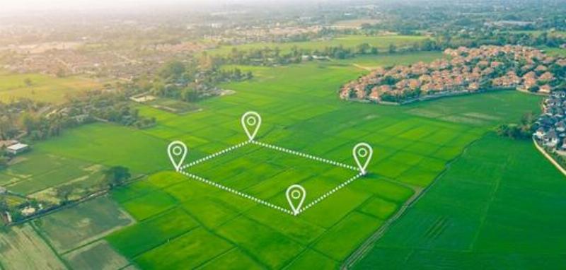 1 Mẫu Bao Nhiêu M2? Chuẩn Xác Từ Bắc Tới Nam, Liên Hệ Sào, Công, Hécta