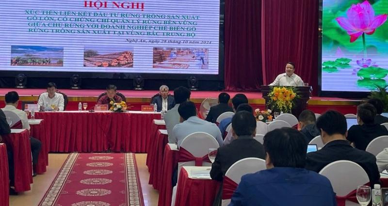 Hoạt động khai thác lâm nghiệp bền vững tại rừng Nghệ An, thể hiện tiềm năng kinh tế từ diện tích rừng của tỉnh có diện tích lớn nhất Việt Nam