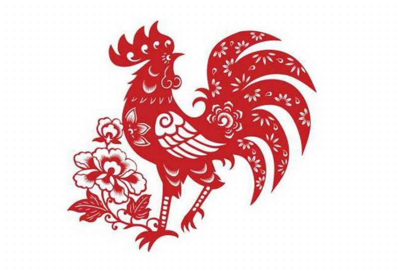 Khám phá những sự thật thú vị về người tuổi Gà sinh năm 1993