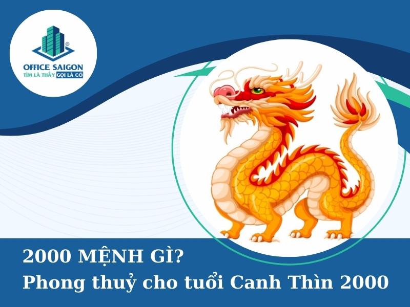 Thế hệ Z sinh năm 2000 mang tuổi Canh Thìn, kết hợp năng động, sáng tạo với bản lĩnh Rồng.
