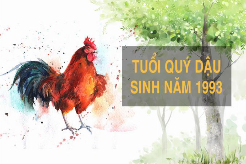 Phân tích ý nghĩa Thiên Can Quý và Địa Chi Dậu trong năm 1993