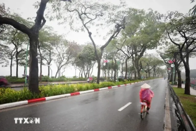 Người dân Đông Dư Gia Lâm ứng phó với nồm ẩm