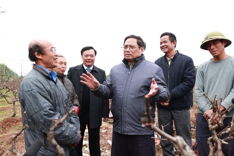Hình ảnh tổng thể một khu đô thị hiện đại, quy mô lớn tại Hoài Đức, thể hiện sự phát triển đô thị nhanh chóng của huyện