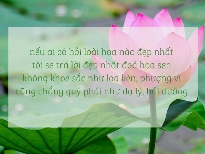 Hình ảnh biểu tượng kết hợp giữa mầm cây xanh tươi đang vươn lên và hình ảnh người có nét mặt hiền hậu, đang sáng tạo (ví dụ: vẽ, chơi nhạc).
