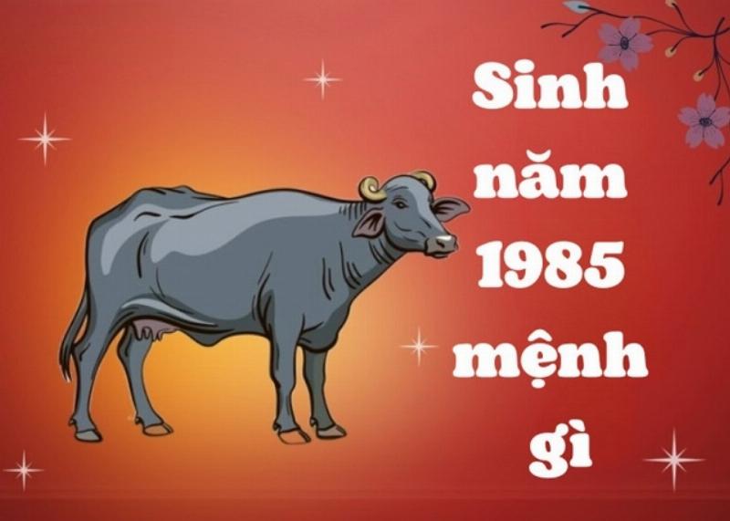 Hình ảnh minh họa tính cách người tuổi Ất Sửu 1985: chăm chỉ, điềm đạm, mạnh mẽ ẩn sâu