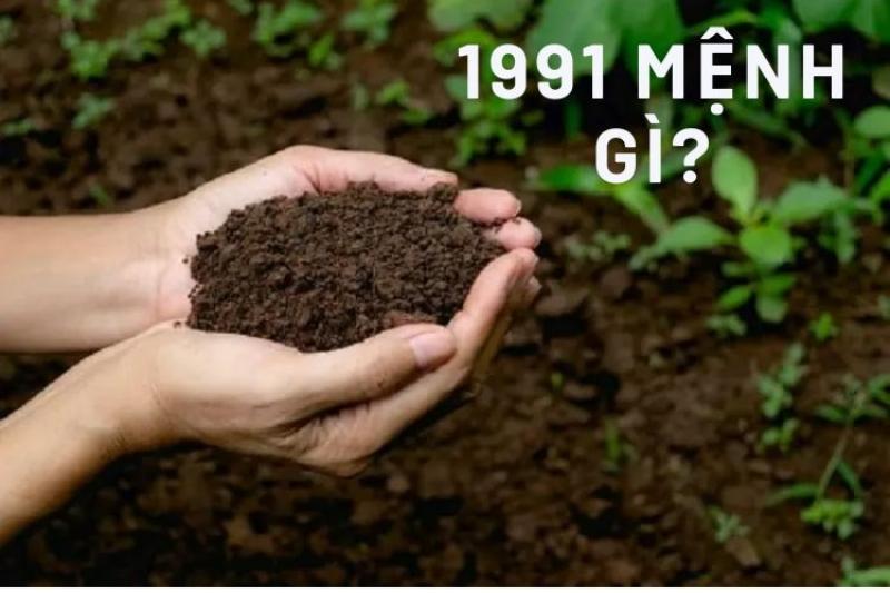 Khám phá tính cách đặc trưng của nữ sinh Tân Mùi sinh năm 1991