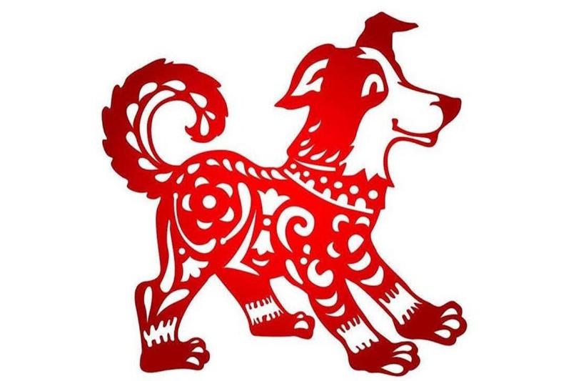 2006 là tuổi con gì, mệnh gì, hợp tuổi nào, màu nào may mắn?