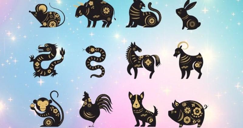 Sinh năm 2000 Mang Mệnh Gì? Giải Mã Chi Tiết Mệnh Kim, Hợp Màu, Hợp Tuổi, Con Số May Mắn