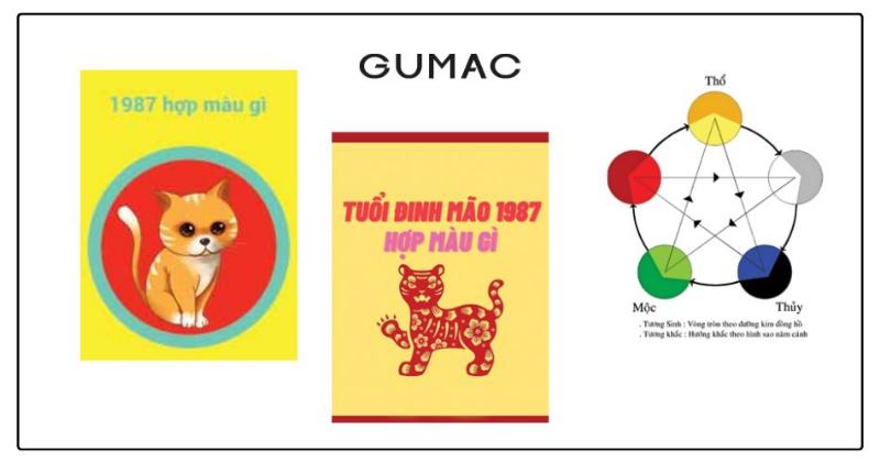 Biểu đồ các tuổi hợp làm ăn với tuổi Đinh Mão 1987, sử dụng màu sắc tương sinh/tương hợp