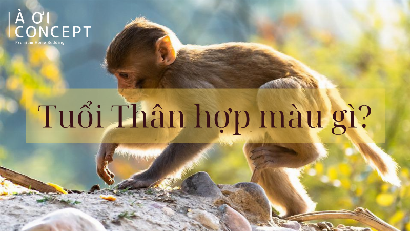 Các biểu tượng Ngũ hành (Kim, Mộc, Thủy, Hỏa, Thổ) tương ứng với các năm sinh tuổi Thân (1980, 1992, 2004, 1956, 1968) và một vài nét đặc trưng của từng mệnh