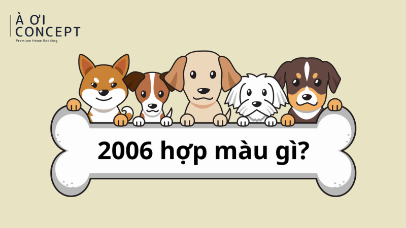 Ví tiền, đá phong thủy màu hợp mệnh giúp người tuổi Bính Tuất 2006 giữ tiền, thu hút tài lộc